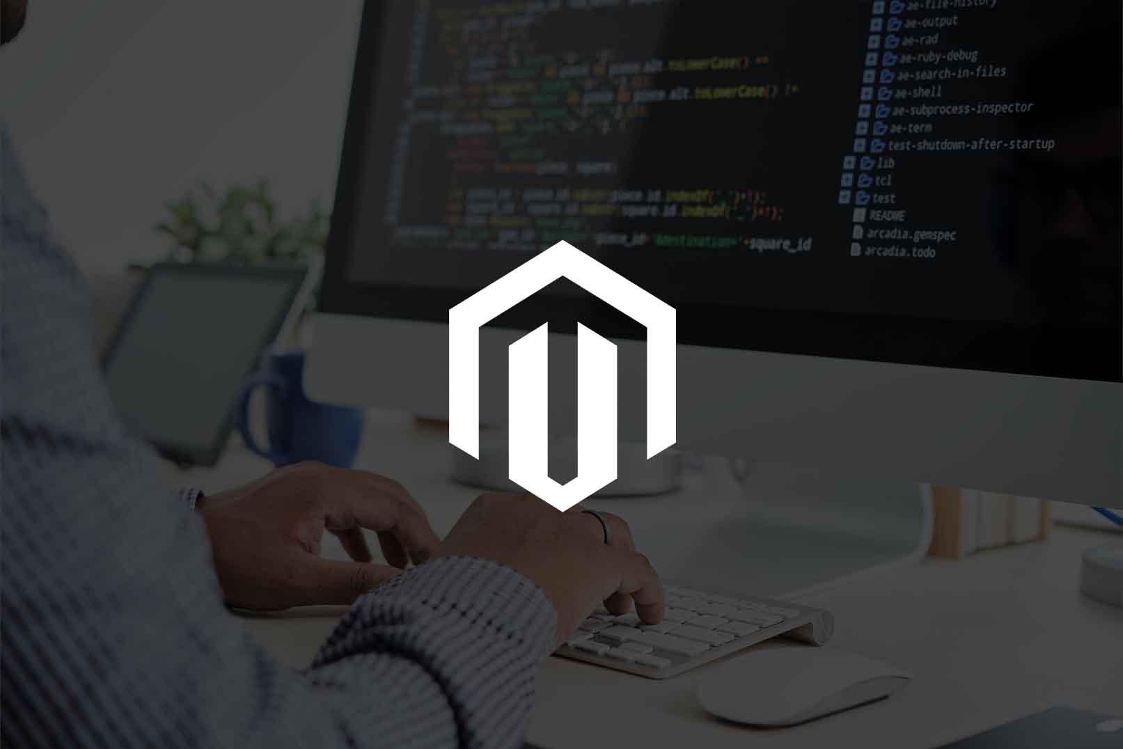 The Best CMS for Ecommerce Web Development: Magento