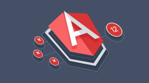 Angular 12 framework for web app development | Binmile