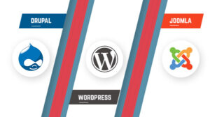 Joomla v WordPress v Drupal | Binmile