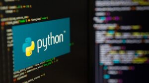 python app development company | Binmile