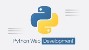 Python web development