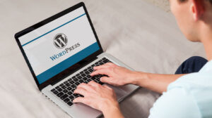 wordpress website development services | Binmile