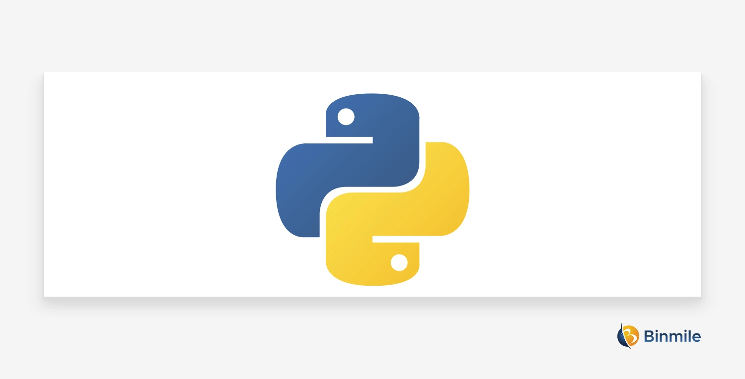 Python Development Services | Binmile