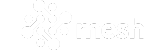 Mesh Logo | Binmile