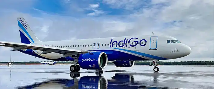 Indigo Case Study | Binmile