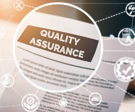 Software Quality Assurance Services | Binmile