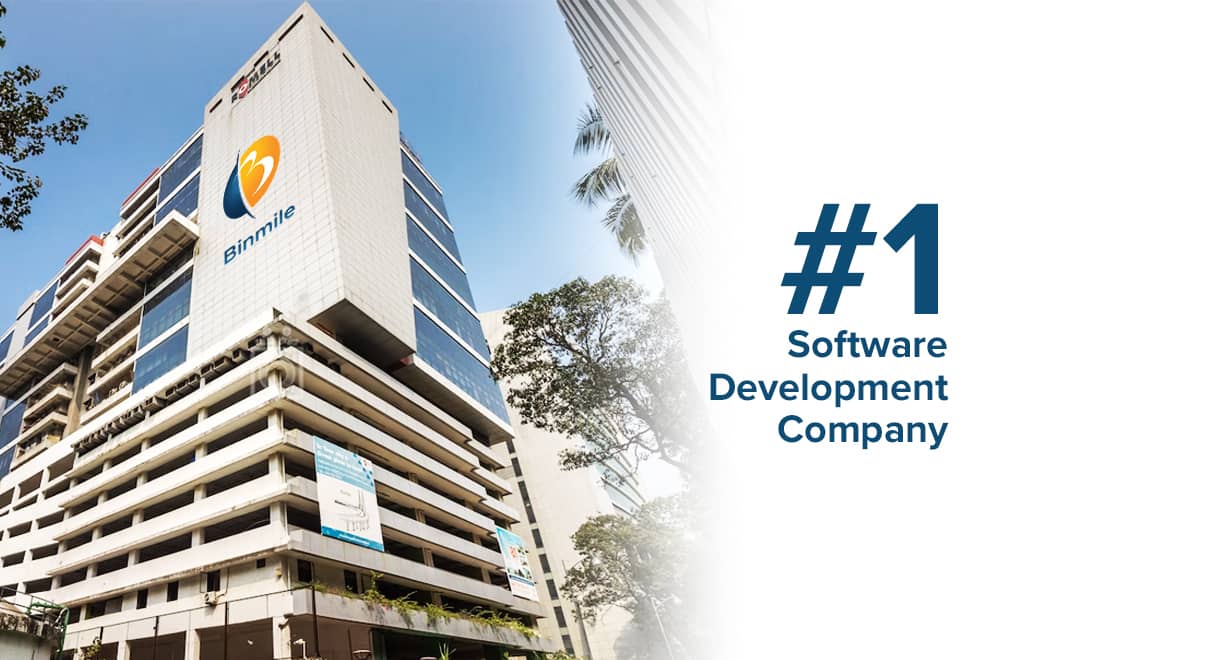 Best Software Development Company in US and India | Binmile