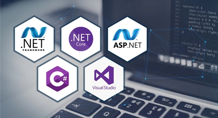ASP.NET Development | Binmile