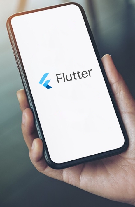 Custom Flutter App Development | Binmile