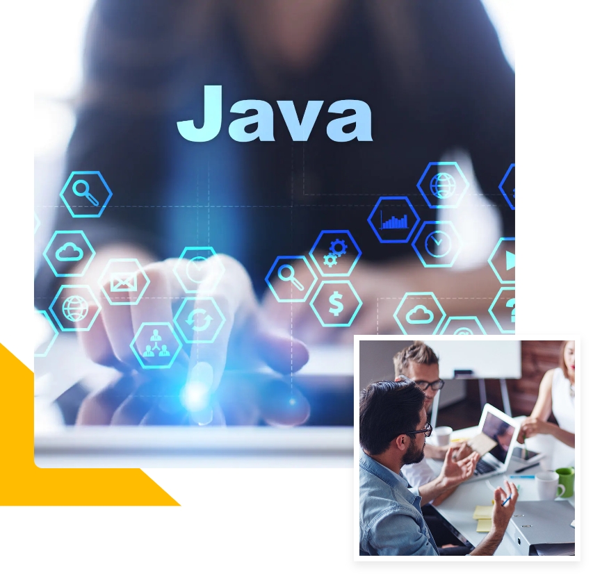 Dedicated Java Development Services | Binmile