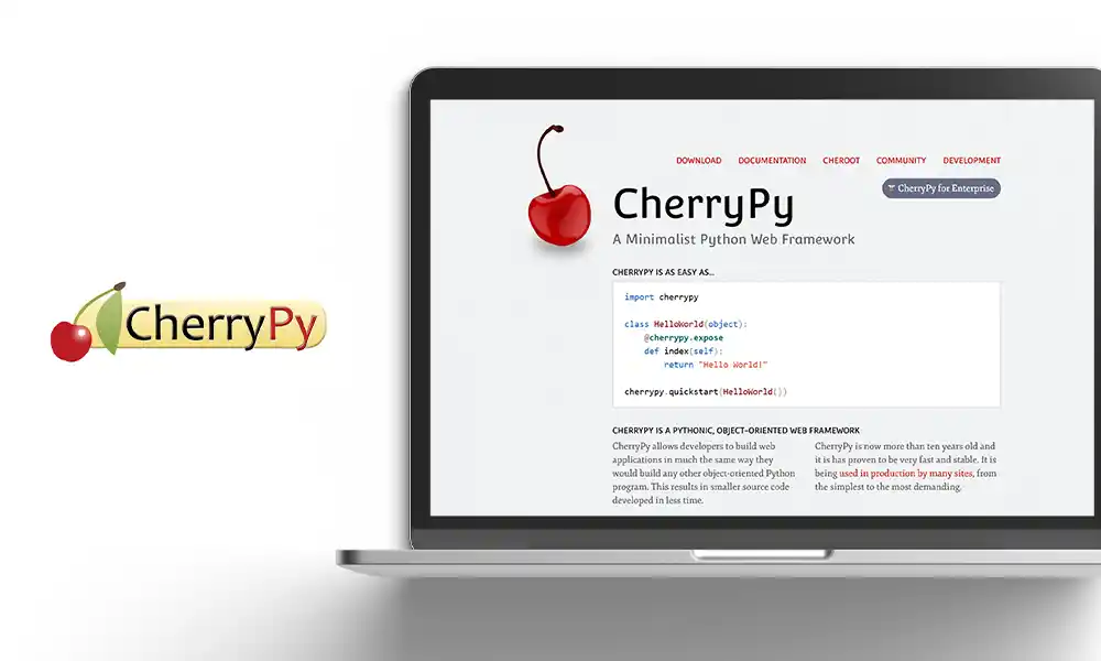 CherryPy | Binmile Technologies