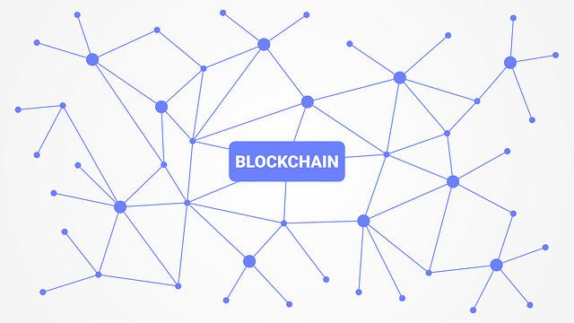 blockchain network | application development