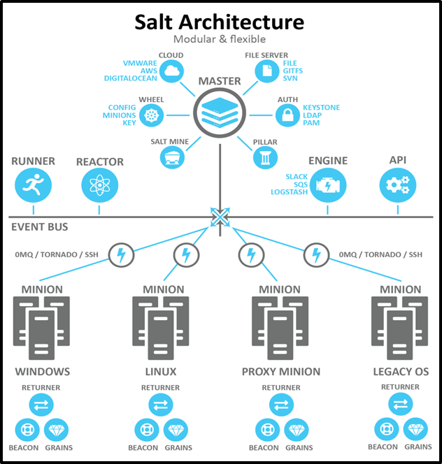 salt architecture | Binmile
