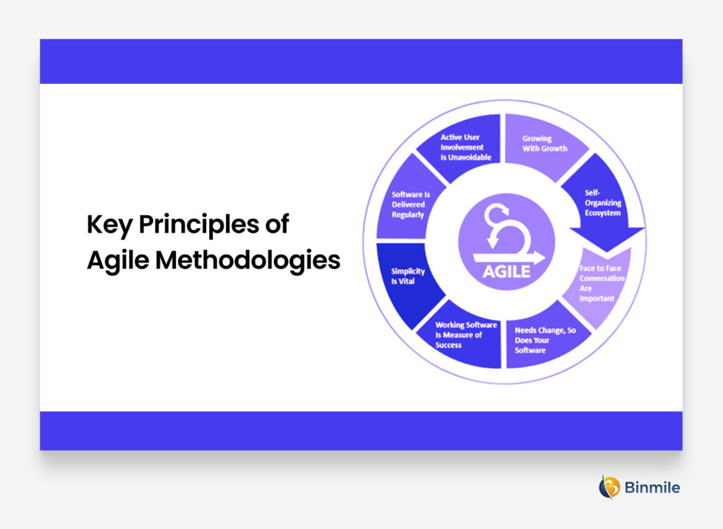 The Function of Agile Methodologies in Software Development
