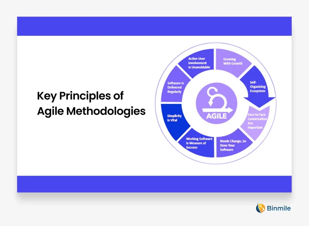 Role of Agile Development Methodology