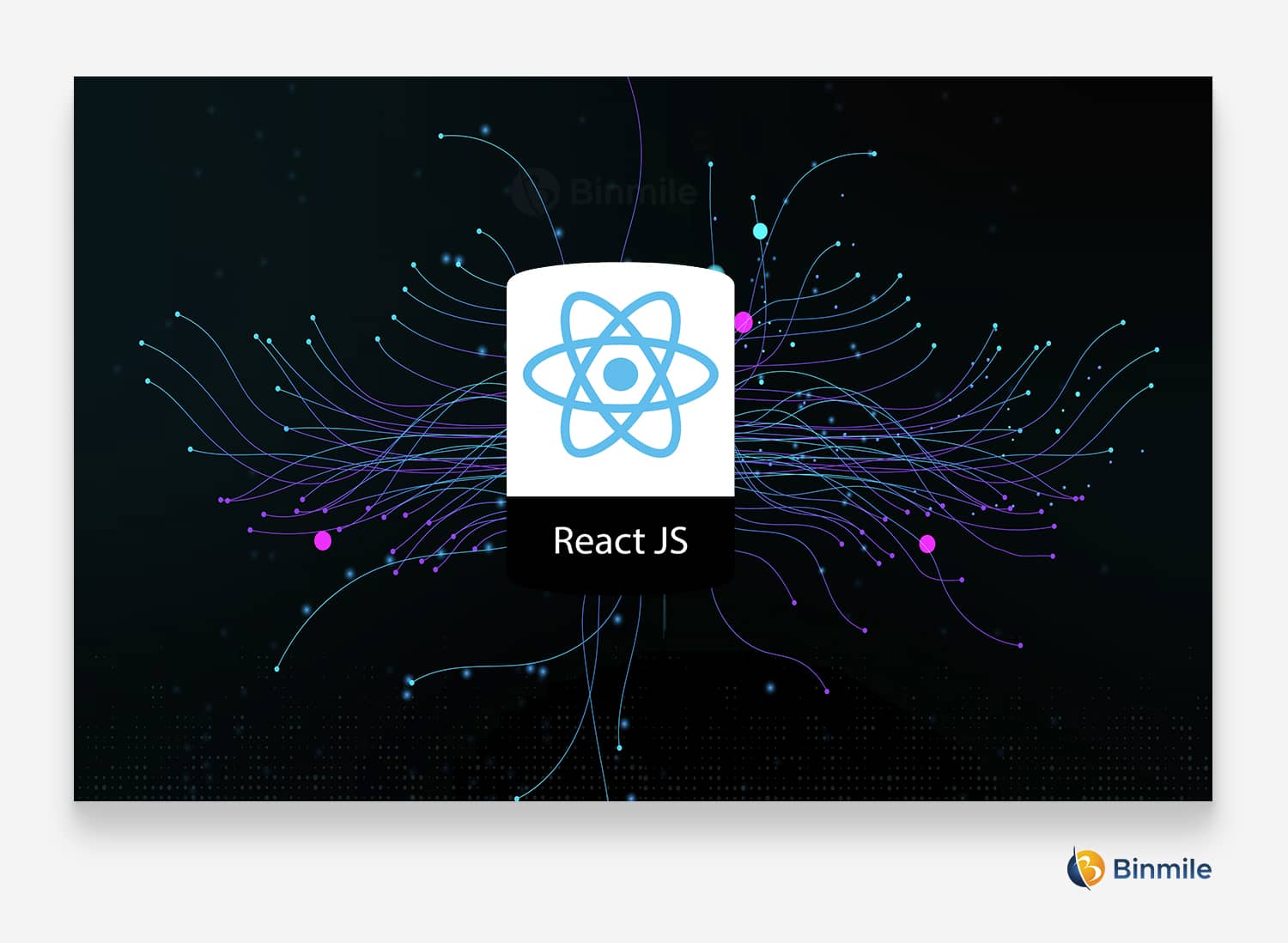 Front-End Web Apps Using ReactJS | Binmile