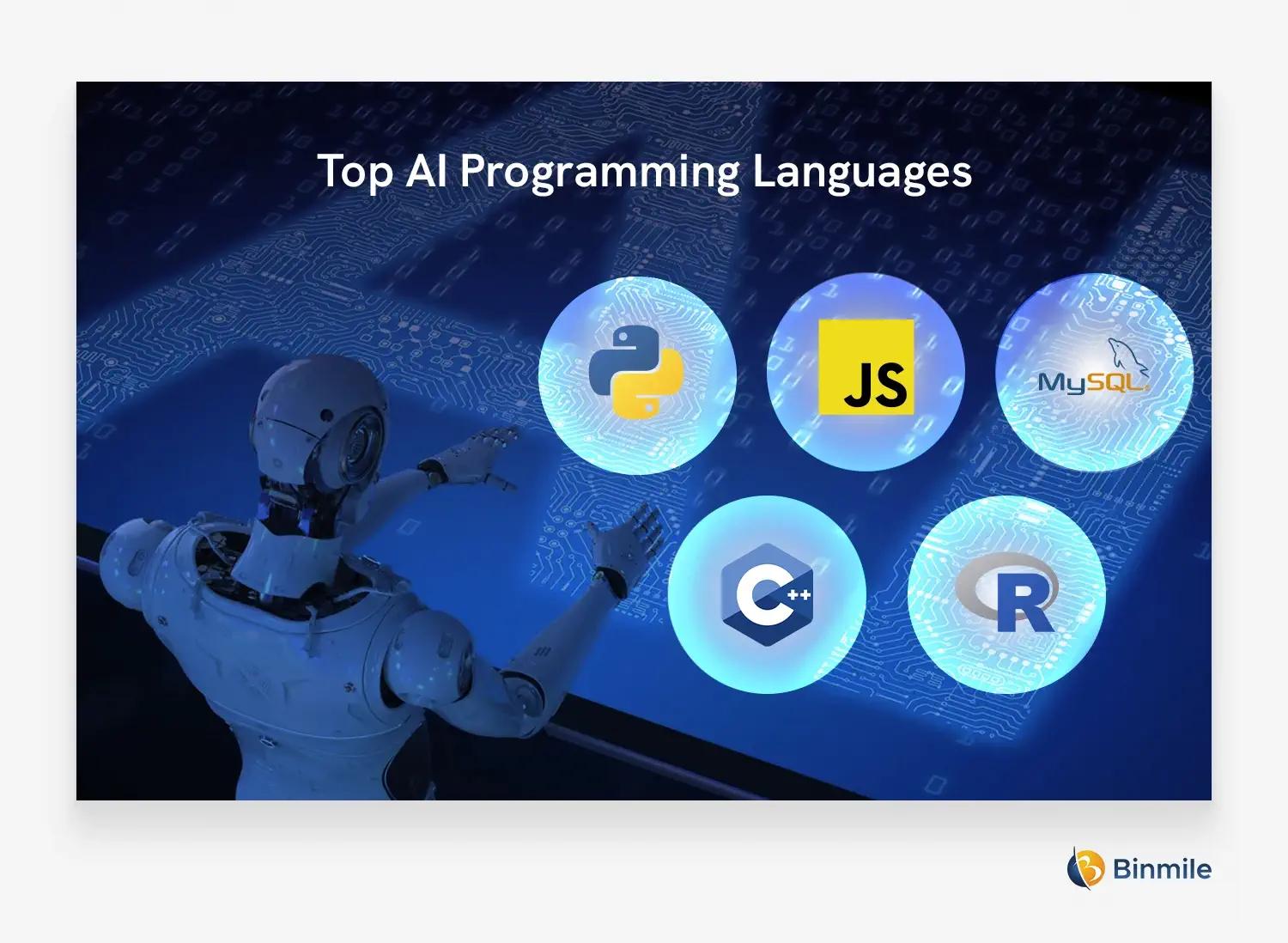 AI Programming Languages | Binmile