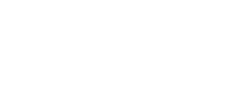 nanovest logo