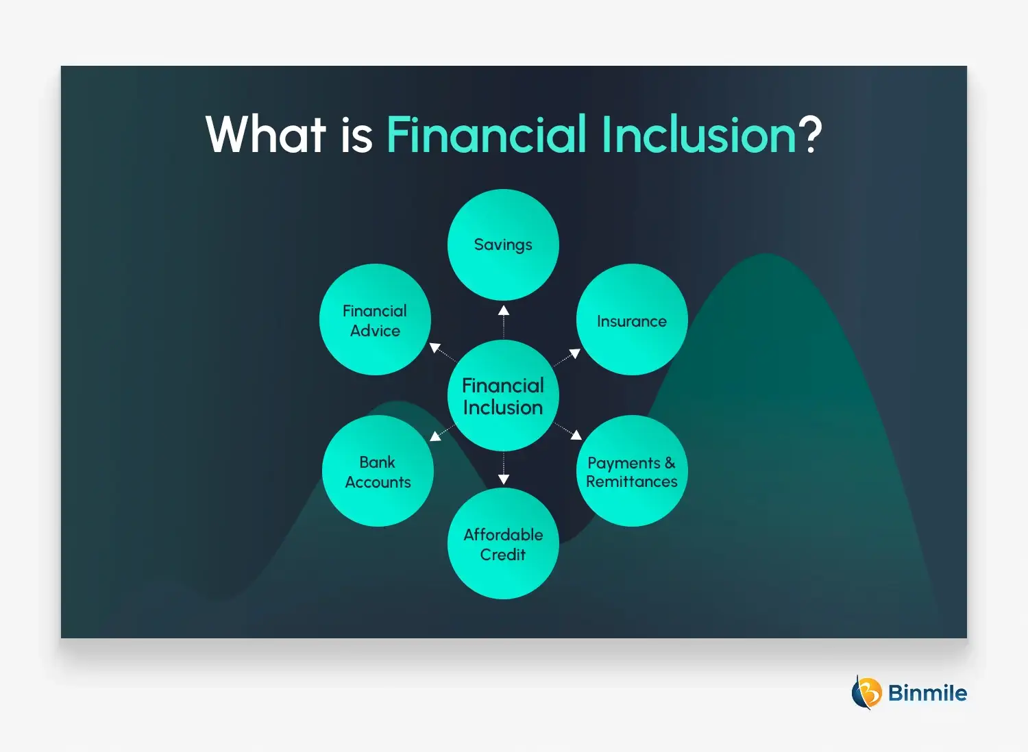 What is Financial Inclusion | Binmile