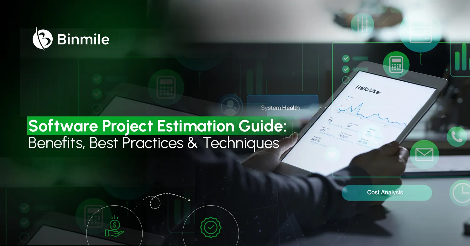 Software Project Estimation Guide | 7 Best Practices | Binmile