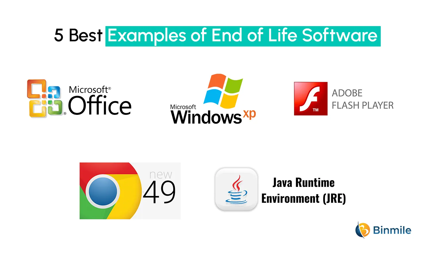 Best Examples of End of Life Software | Binmile