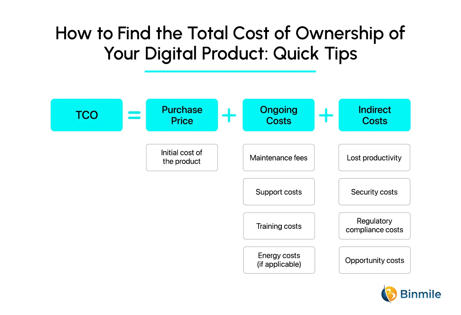 How to Calculate the Total Cost of Ownership of Your Digital Product | Binmile