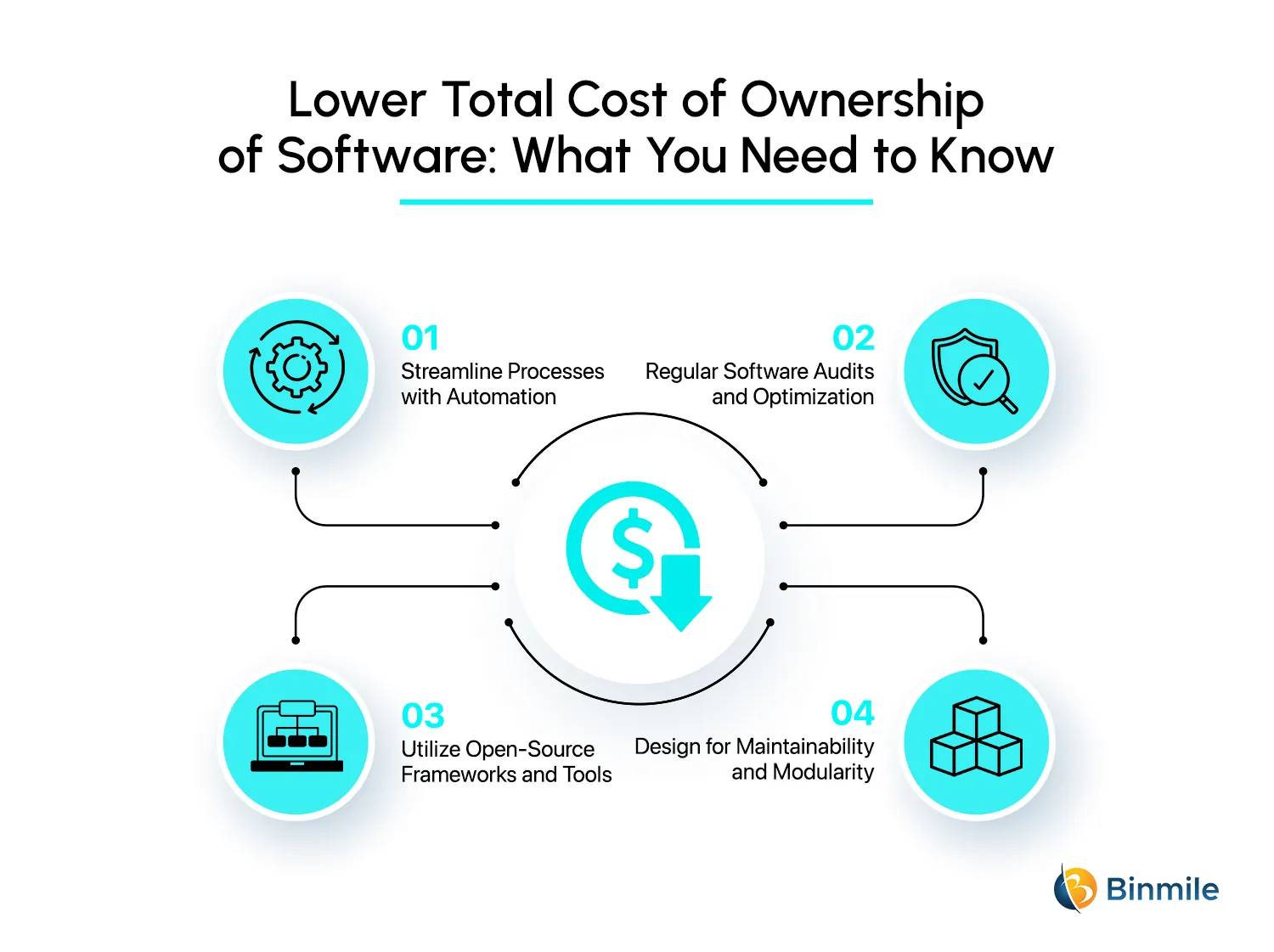 Strategies to Lower Total Cost of Ownership of Software | Binmile