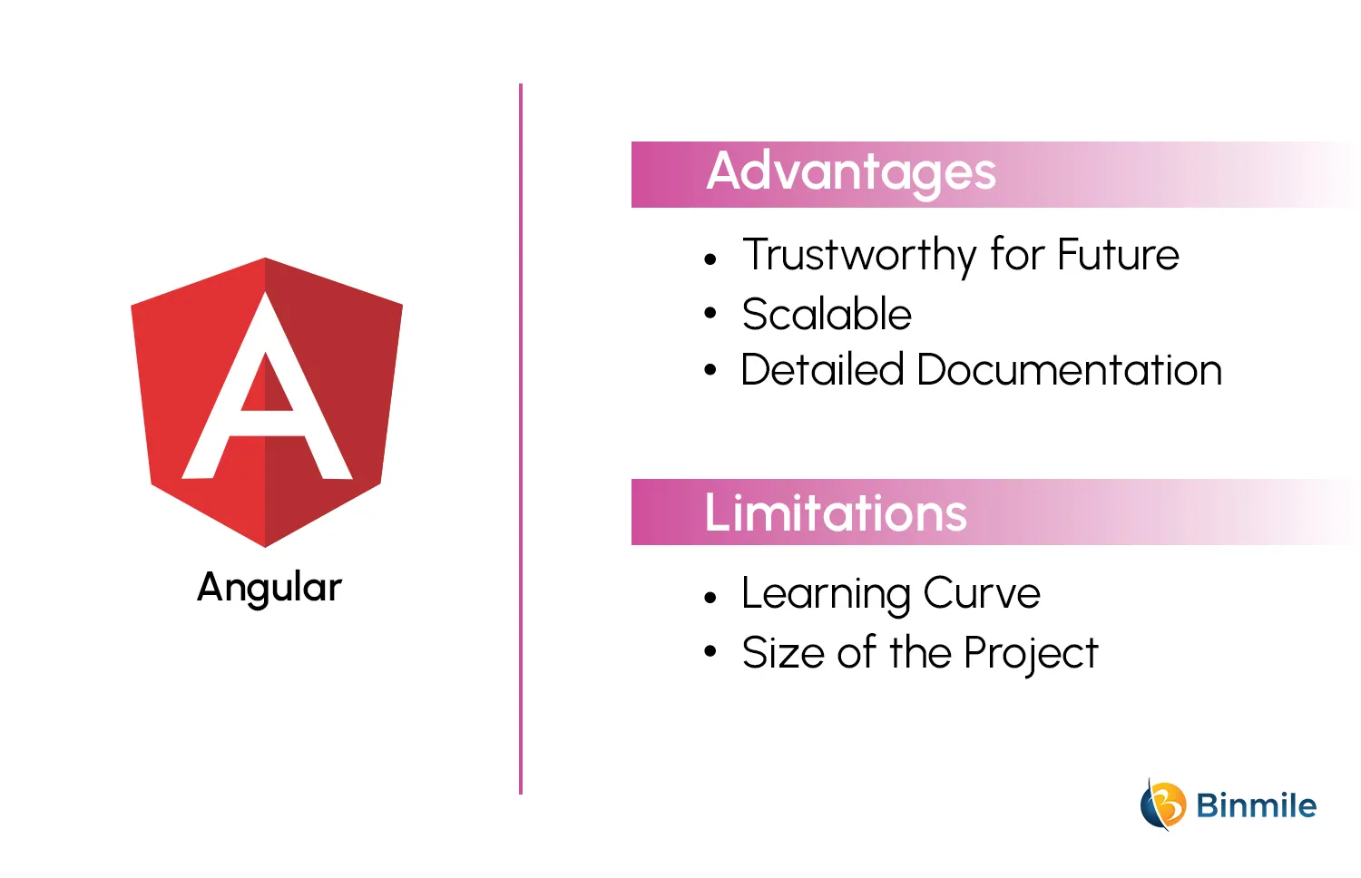 Pros and Cons of Using Angular | Binmile