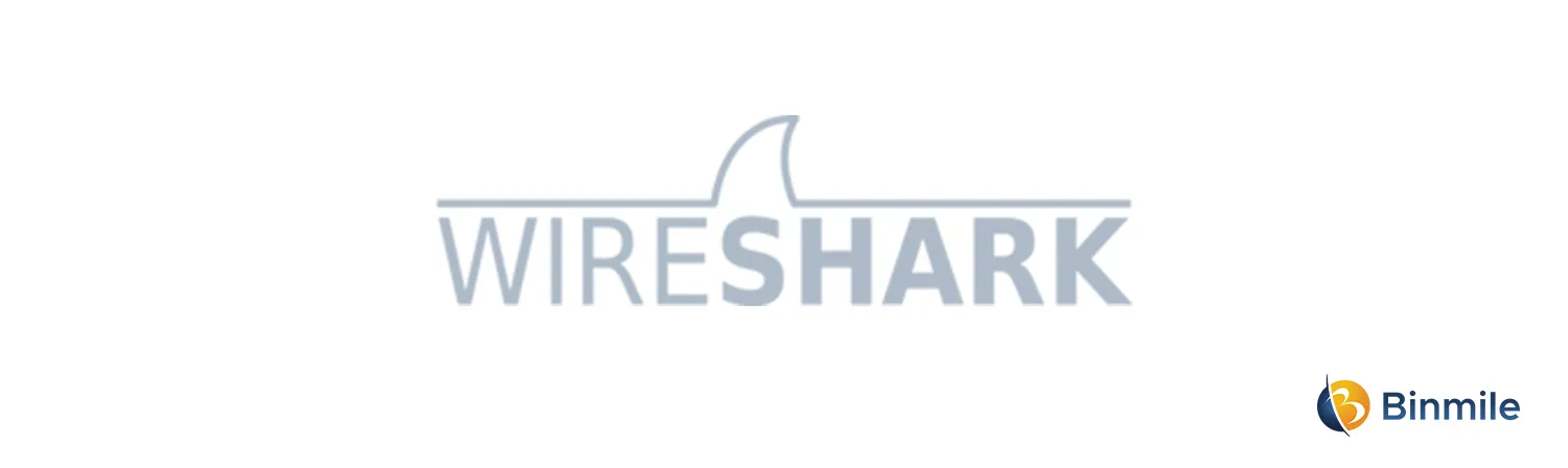 Wireshark | Cybersecurity Tool | Binmile