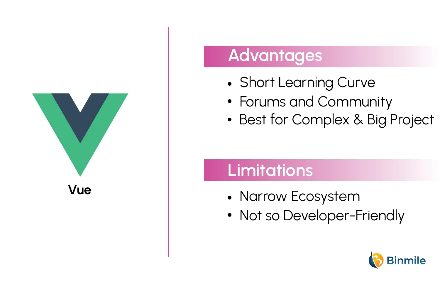 Pros and Cons of Using VueJS | Binmile